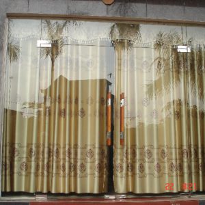 Mẫu cửa kính cường lực - Ms:02